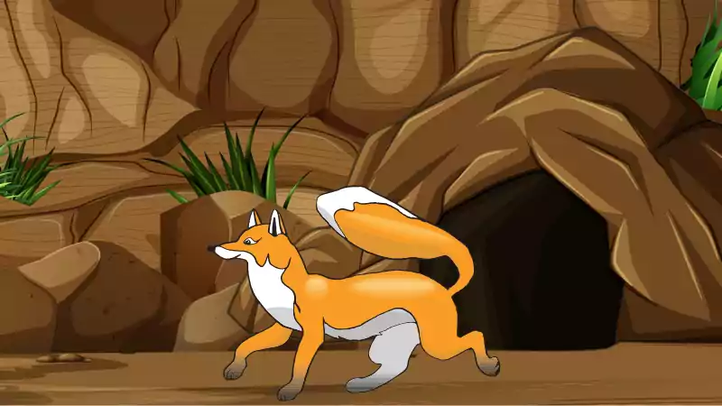 A Clever Jacket who was too Wily