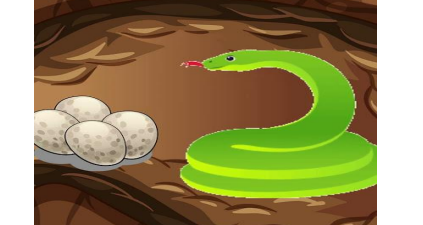 The Crane and the Snake